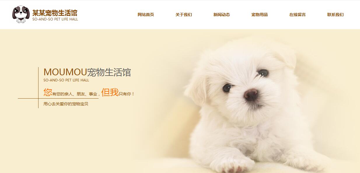 杭州宠物猫狗网站建设方案