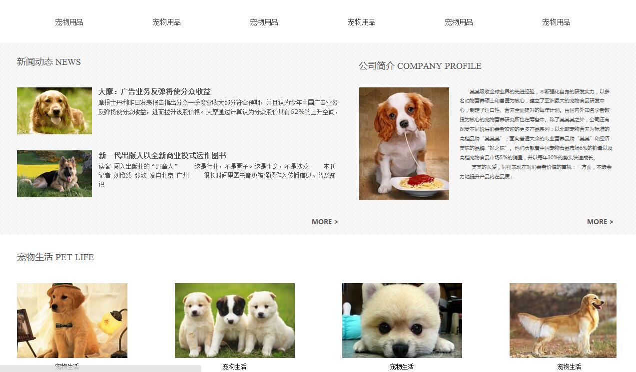 杭州宠物猫狗网站建设方案