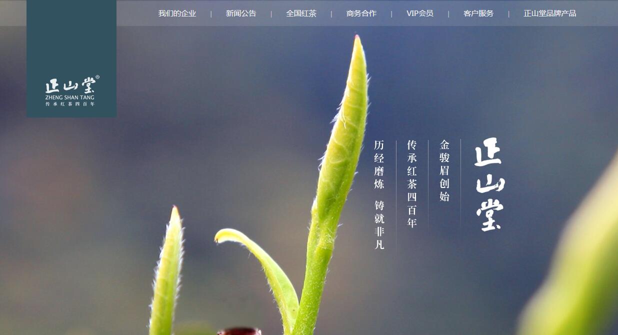 杭州网站建设的品牌词汇